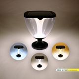 ACK AG60-09891 8W/h Ayarlanabilir Renk Solar Led Bahçe Armatürü