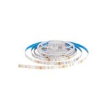 ACK AS01-00800 7W 12V 3000K Günışığı 4040 Şerit Led