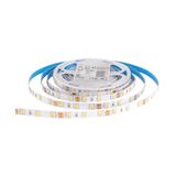 ACK AS01-00804 5 mt 7W 12V Kırmızı 4040 Şerit Led