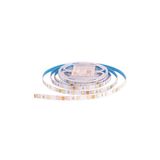 ACK AS01-00807 12W/mt 12V Amber Şerit Led Bar