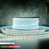 ACK AS01-01503 220V 6500K Beyaz Dış Mekan Şerit Led