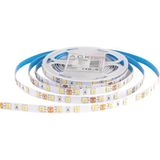 Ack AS01-02800 Şerit LED 3000K 12V 240 Ledli (Sarı)