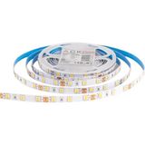 ACK AS01-02803 16W/mt 12V 240 Ledli 6500K Beyaz Işık Şerit Led
