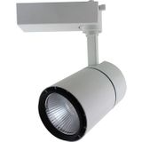 ACK Cob Led 3000 K 30 W Beyaz Kasa Gün Işığı Monofaze Ray Armatürü