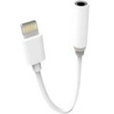 ACL ACPT-04 Lighning Kulaklık Aparatı Dönüştürücü
