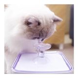 Aclium Kedi Su Sebili 2,4 Lt