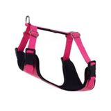 Actirex 40-45 cm 5-8 kg S Pembe Cool Dokuma Kumaş Neon Köpek Göğüs Tasması