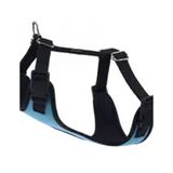 Actirex 45-55 cm 8-14 kg M Mavi Cool Dokuma Kumaş Neon Köpek Göğüs Tasması