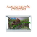 Ada Akvaryum Su Kaplumbağası Akvaryumu Bahçeli Rampalı Dinlenme 35X25x15 Cm Arka Plan Hediyeli