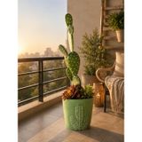 Ada Verde – Desert Crown Premium Kaktüs Aranjmanı | Betondan üretilmiş saksı ve dekoratif yapay çiçek
