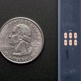 Adafruit NeoPixel Dijital RGB Siyah 30 Led 1 mt Şerit Led