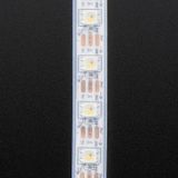 Adafruit NeoPixel Dijital RGBW Beyaz PCB 30 Led 1 mt Şerit Led