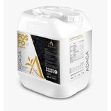 ADAGA ® Fosfo 5-20-0 | Np Gübre Çözeltisi - 20 Litre