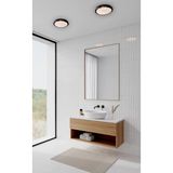 Adaled Adaledmodern Tavana Sıfır Plafonyer Tavan Glop Tavan Arm Balkon Banyo Lambası LED 6500K Beyaz - Siyah Füme