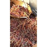 Adalılar Çiftliği Sebzeli Erişte | 500 Gram