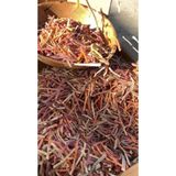Adalılar Çiftliği Sebzeli Erişte, Ispanaklı Pancarlı Enginarlı, 1kg, El Yapımı, Doğal, Katkısız