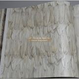 Adawall 9913-2 Tropicano Bej Kuş Tüyü Desen Duvar Kağıdı
