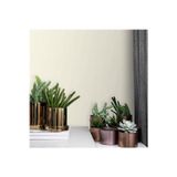 Adawall Düz dokular ile duvar kağıdı | EPHES 5805-5, Krem, Açık, Elyaf Taban (Non-Woven) - 10.6 m²