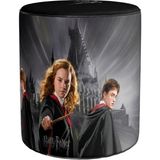 Adawall Home Harry Potter And The Order Of The Phoenix Puf - Tek Ebat - Siyah