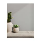 Adawall Modern Düz Desen Duvar Kağıdı | HUE 24202-3, Gri, Elyaf Taban (Non-Woven) - 16.5 m²