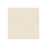 Adawall -Vera Duvar Kağıdı, Krem, 50 X 110, Vg0148