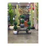 Adayapaycicek Yapay ağaç yapay çiçek 75 cm 2 top şimşir