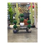 Adayapaycicek Yapay ağaç yapay çiçek 75 cm şimşir top