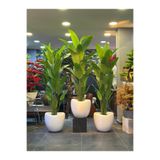 Adayapaycicek Yapay çiçek 200 cm 24 yaprak starlice