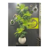 Adayapaycicek Yapay Çiçek Uygula Yapay Ağaç Salon Çiçeği 200 Cm Areka