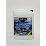 ADBLUE 10 LİTRE