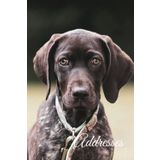 Address with Birthdays book: Short Haired Pointer Design Cover | address book with birthdays and anniversaries | Address log book for contacts | address and birthday organizer