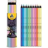 Adel Blackline Kuru Boya Kalemi Pastel Renk 12’li Tüp 2112000010000