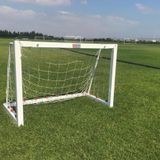 Adelinspor Minyatür 80x120x60 cm Metal Kale Direği
