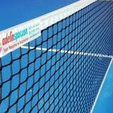 Adelinspor Premium 1 m x 6 m Tenis Filesi