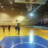 Adelinspor Premium 20 m Voleybol Filesi