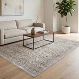 Aden Lorien Vintage Dokuma Halı | Eskitme Desenli Pamuk Tabanlı Halı | Modern Salon Halısı | 80 x 150 | Model LOR05