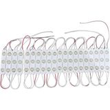 Adet 1.5W 12V Mercekli Modül LED (Beyaz) - Altın