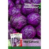 Adet Yerli Ata Kırmızı (Mor) Lahana Tohumu