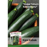 Adet Yerli Ata Siyah Kabak Tohumu (Kolsuz Kara Kabak)
