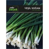 Adet Yeşil Soğan Tohumu