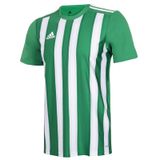 Adidas ADH35644 Striped 21 JSY Yeşil Erkek Forma