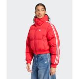 adidas Adicolor Cropped Synthetic Down Puffer Kadın Kırmızı Mont - JX2966-001