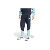 adidas Afa Pre Pnt Erkek Spor Sweatpant JY7033