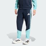 adidas Arjantin 26 Tiro Kulüp Erkek Eşofman Altı