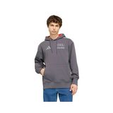 Adidas AUDI DR HD M Erkek Günlük Sweatshirt KT1725 Gri