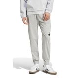 Adidas BL T P SJ MGREY Gri Erkek Eşofman Altı