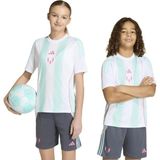 Adidas Çizgili Beyaz Erkek Çocuk T-Shirt KD6405 Messı Tr Jsy Y - 176 cm