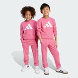 adidas Çocuk Essentials Joggers Çocuk Eşofman Takımı Gym & Training,Lifestyle JW2435