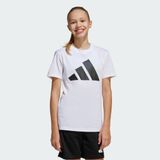 adidas Çocuk Essentials Kids Tişört Takımı Gym & Training,Lifestyle JC9715