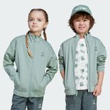 Adidas Çocuk Günlük Eşofman Üstü Lk Sw Mndo Tt Jf3653